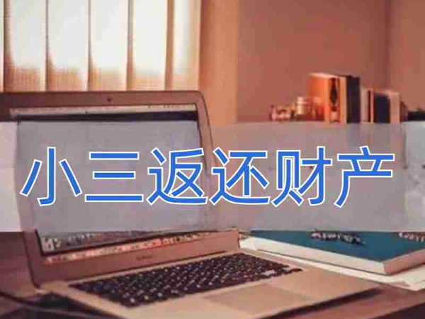 挫败小三上位图谋，令其返还财产